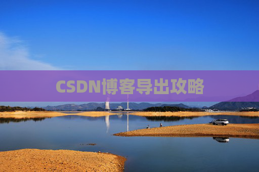 CSDN博客导出攻略